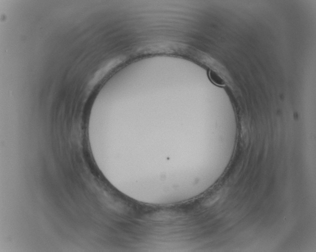 X0000077400578200611101822