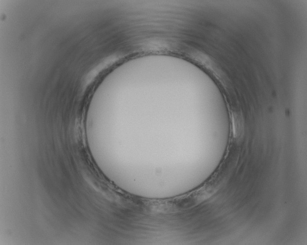 X0000077400579200611101822