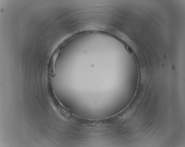 X0000077400580200611101822