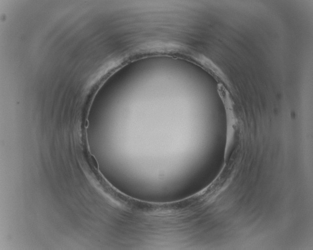 X0000077400581200611101822