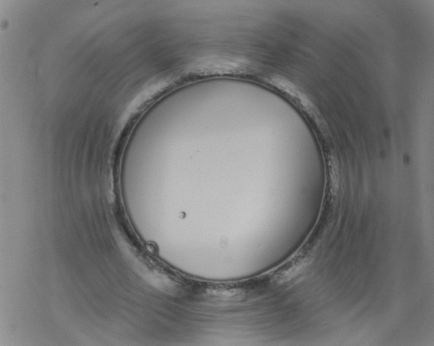 X0000077400582200611101822