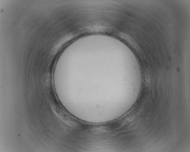 X0000077400583200611101822