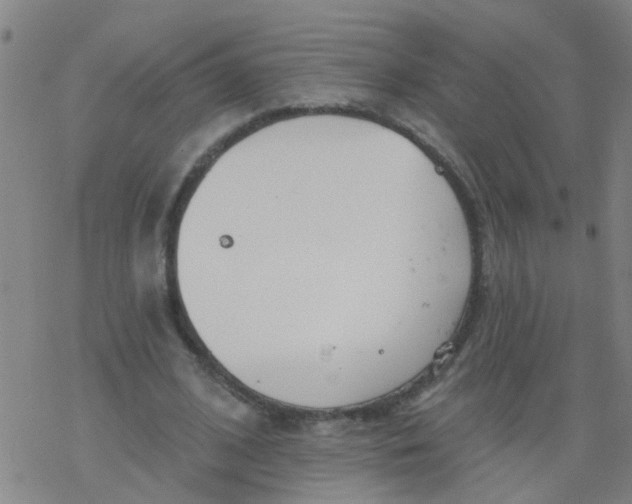 X0000077400584200611101822