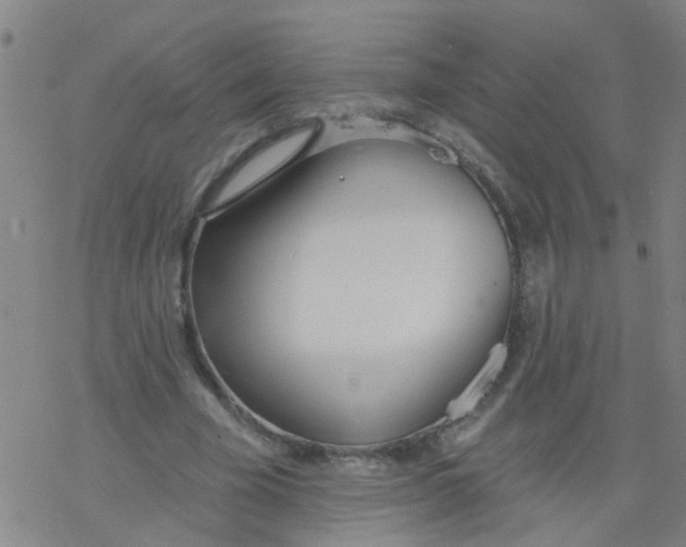 X0000077400585200611101822