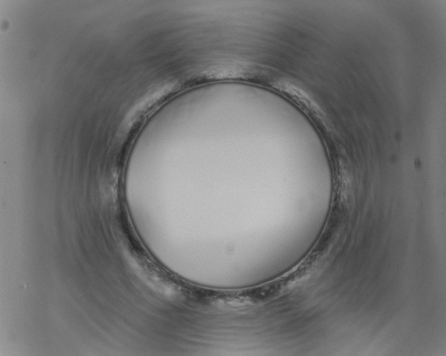 X0000077400586200611101822