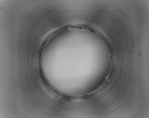 X0000077400587200611101822