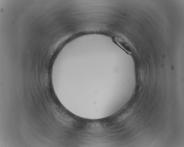 X0000077400588200611101822