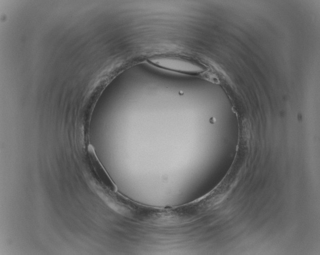 X0000077400589200611101822