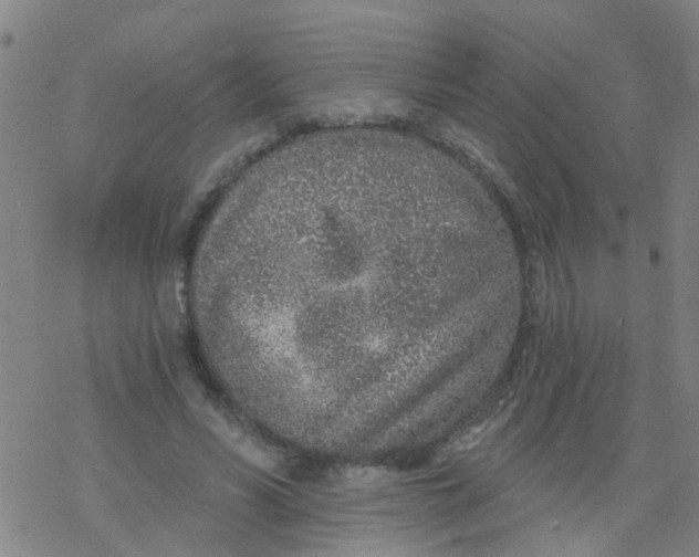 X0000077400590200611101822