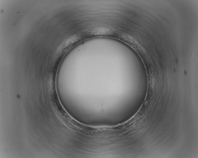 X0000077400591200611101822