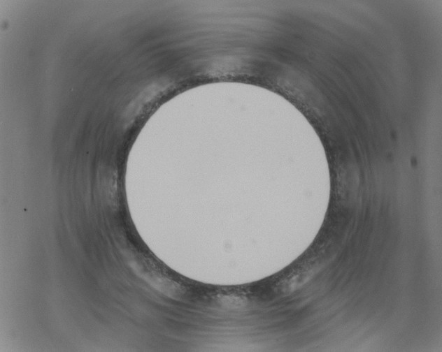 X0000077400592200611101822