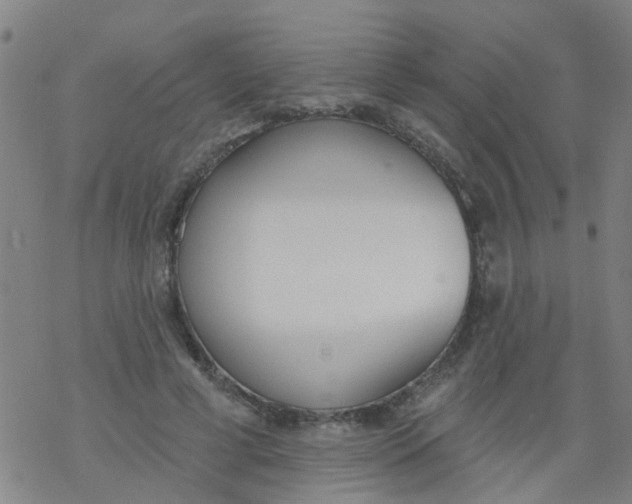 X0000077400593200611101822