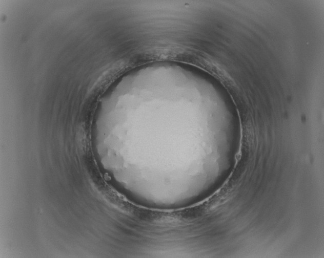 X0000077400594200611101822