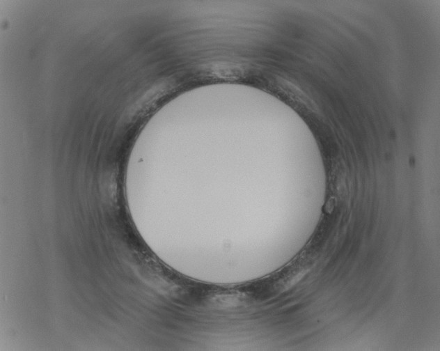 X0000077400595200611101822