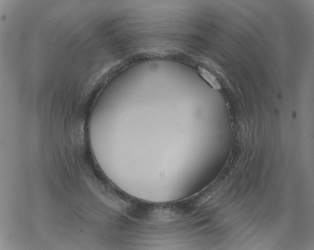 X0000077400596200611101822