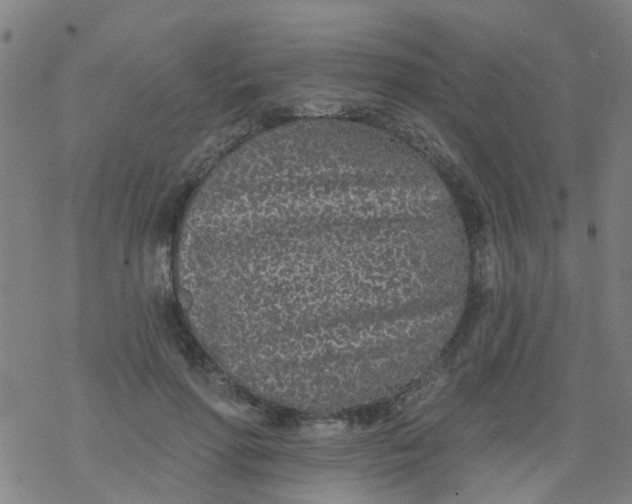 X0000077400598200611101822