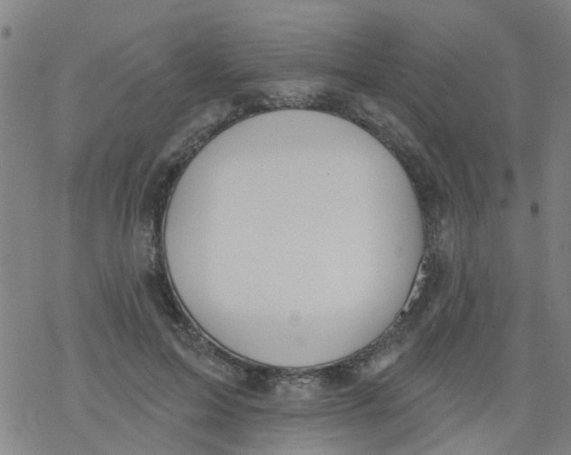 X0000077400599200611101822