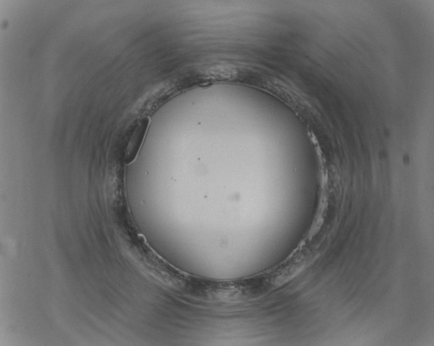 X0000077400600200611101822