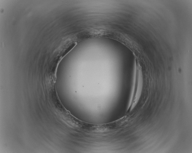 X0000077400601200611101822