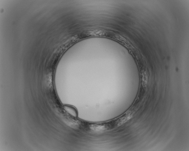 X0000077400602200611101822