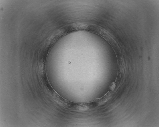 X0000077400604200611101822