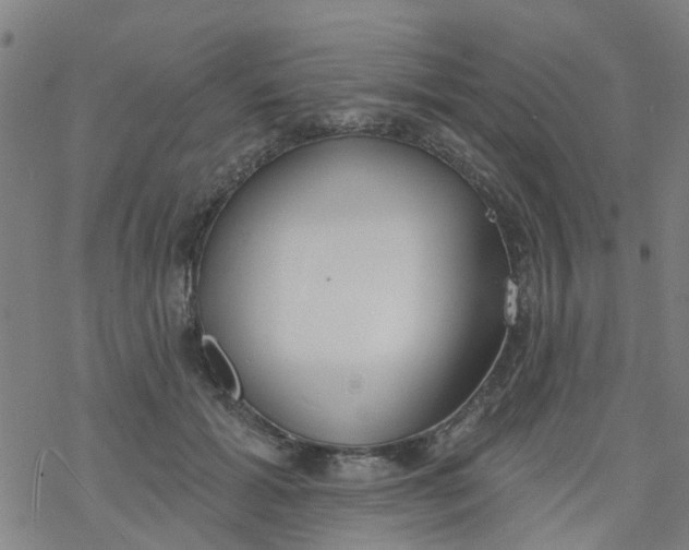 X0000077400605200611101822