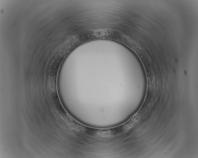 X0000077400606200611101822