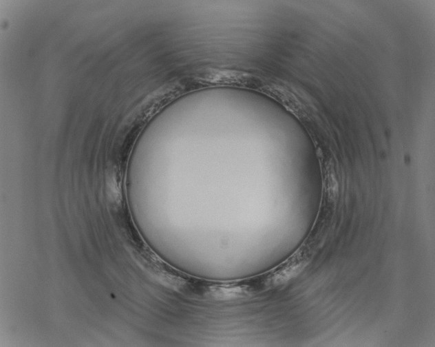 X0000077400607200611101822