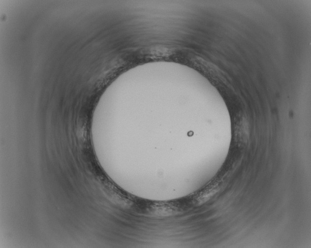 X0000077400608200611101822