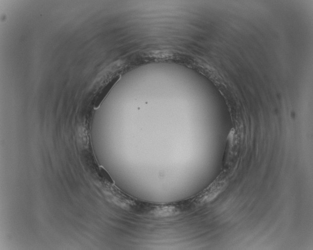 X0000077400609200611101822