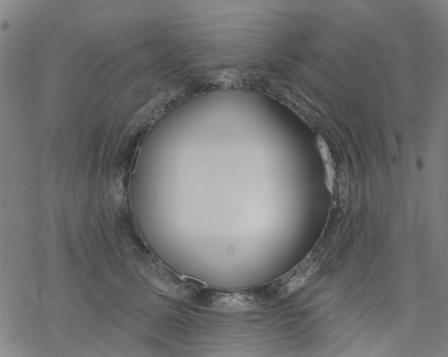 X0000077400611200611101822