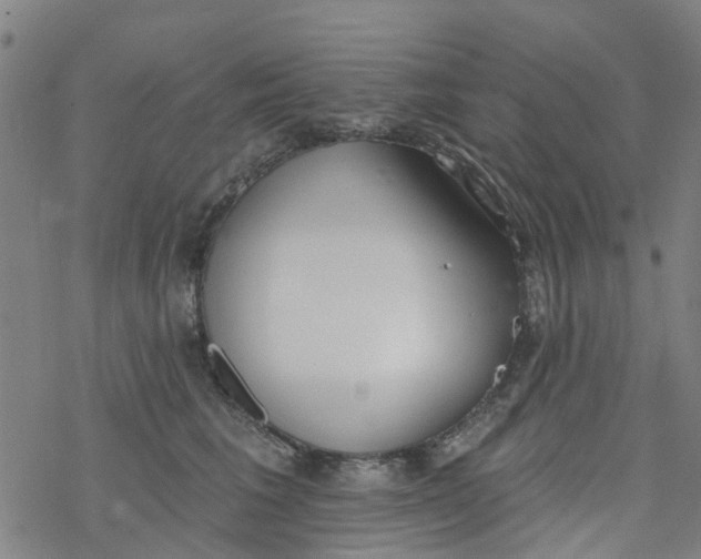 X0000077400613200611101822