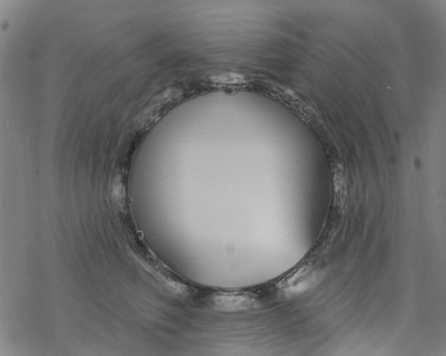 X0000077400614200611101822