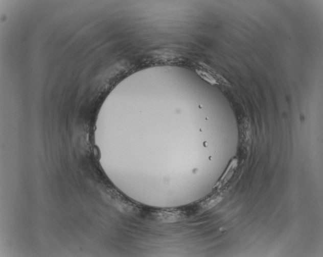 X0000077400615200611101822