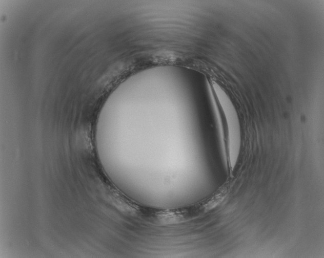 X0000077400616200611101822