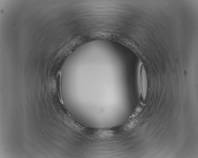 X0000077400617200611101822