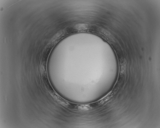 X0000077400618200611101822