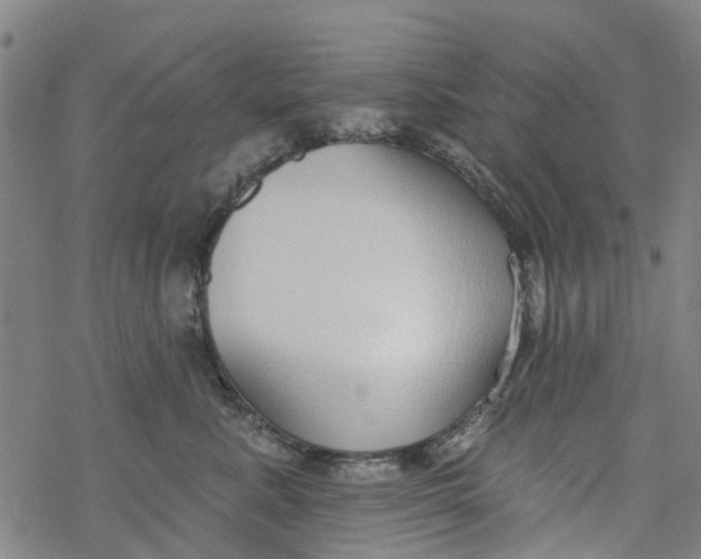 X0000077400619200611101822