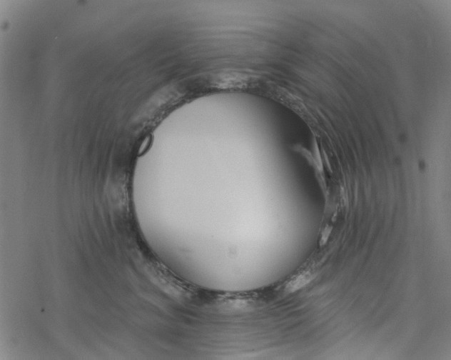 X0000077400620200611101822