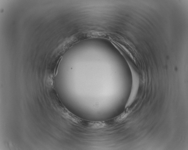 X0000077400621200611101822