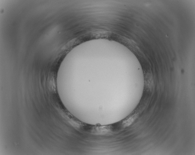 X0000077400622200611101822