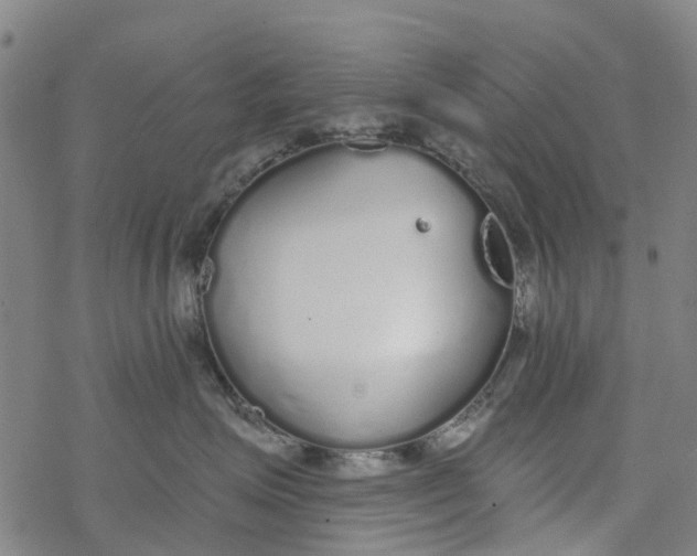 X0000077400623200611101821