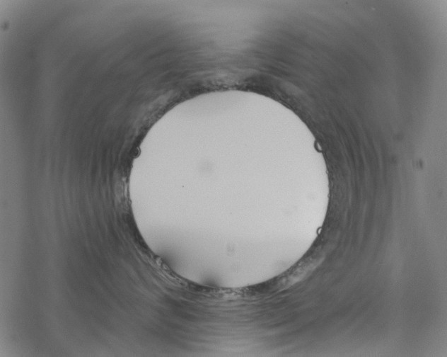 X0000077400624200611101821