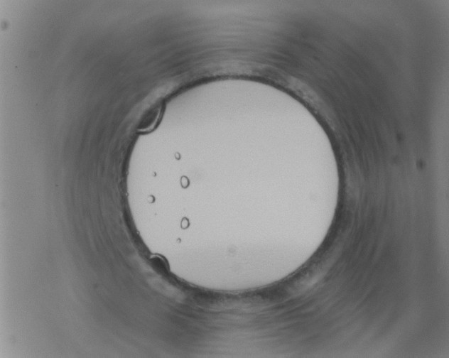 X0000077400625200611101821