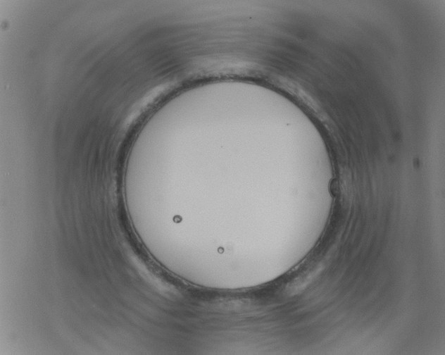 X0000077400629200611101821