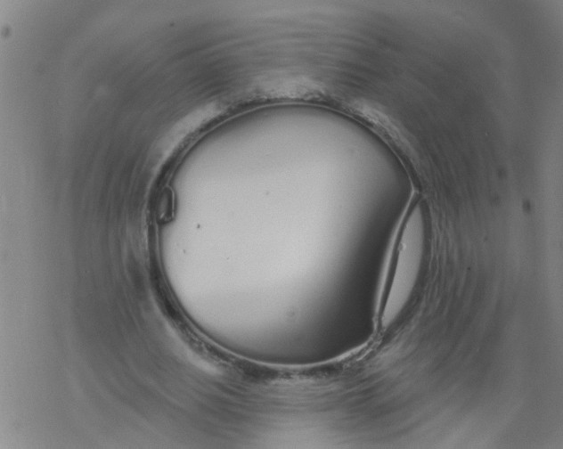 X0000077400630200611101821