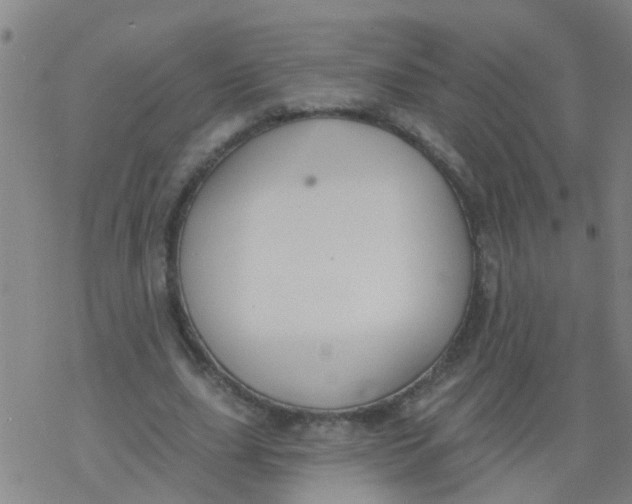 X0000077400631200611101821