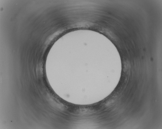 X0000077400632200611101821