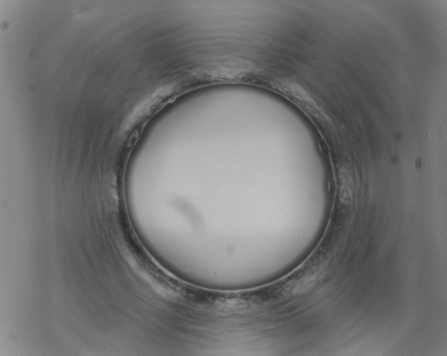 X0000077400634200611101821