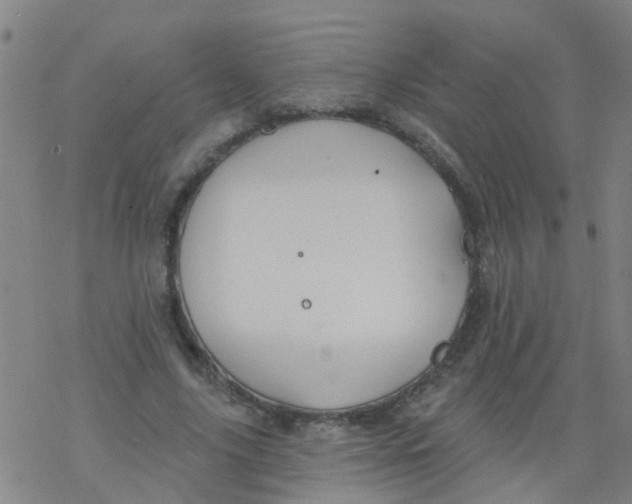 X0000077400635200611101821